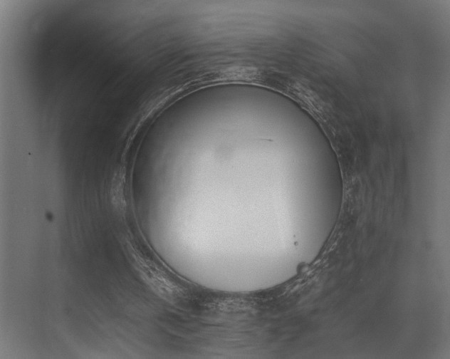 X0000075360146200609081224