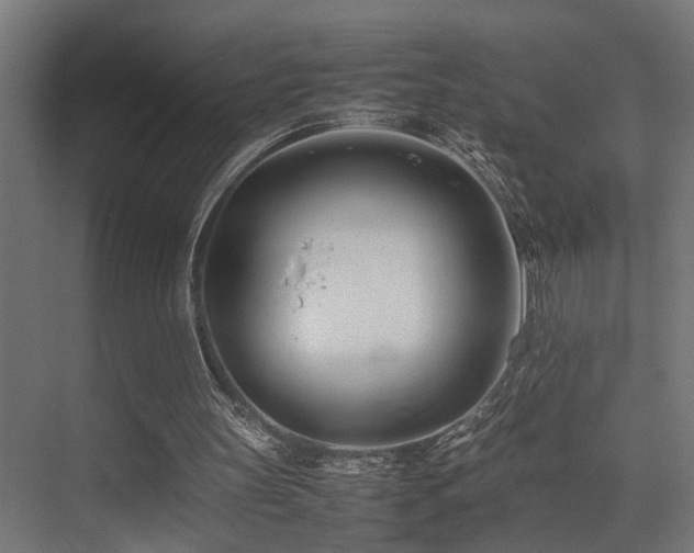 X0000075360147200609081224