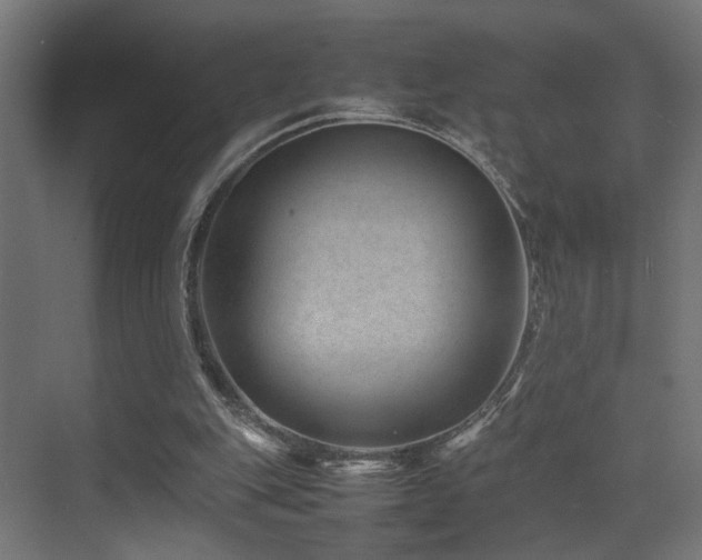 X0000075360151200609081224