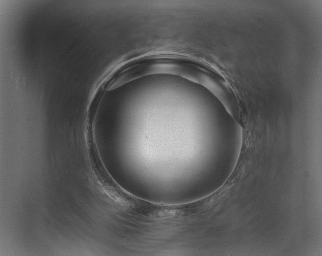 X0000075360152200609081224