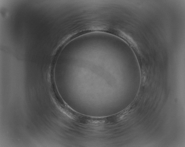 X0000075360155200609081224