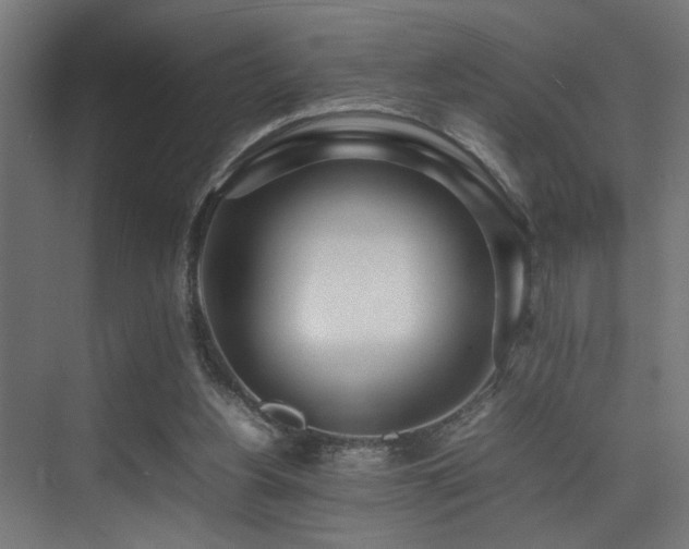 X0000075360156200609081224