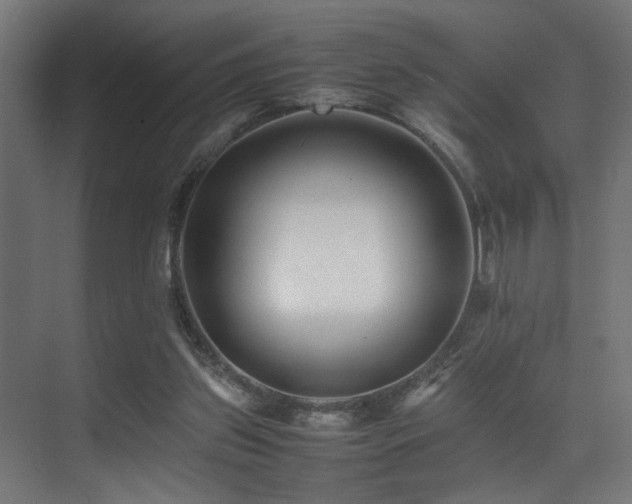 X0000075360157200609081224