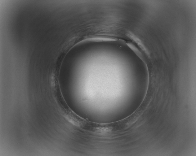 X0000075360161200609081224