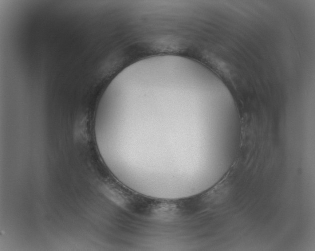 X0000075360162200609081224