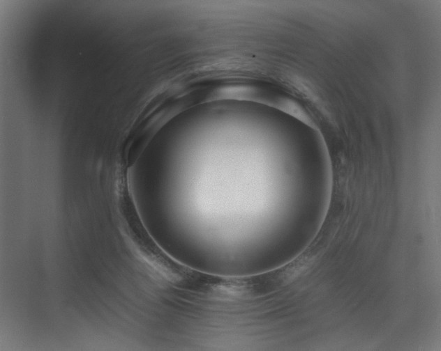 X0000075360164200609081224