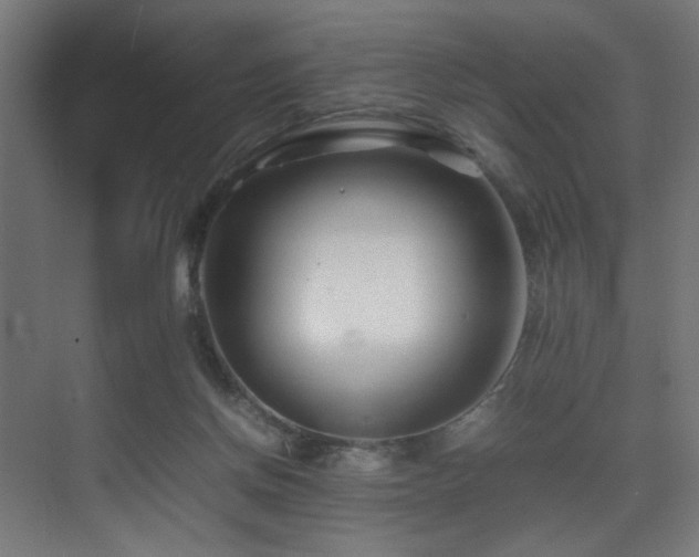 X0000075360166200609081225