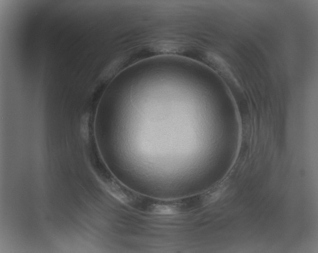 X0000075360167200609081225