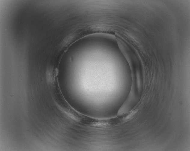 X0000075360168200609081225