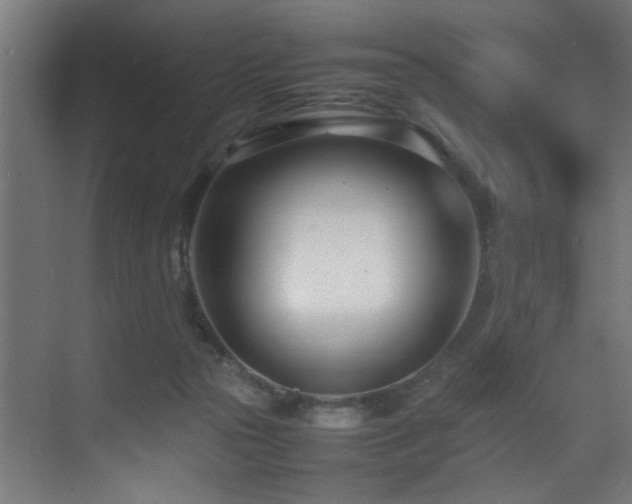 X0000075360169200609081225