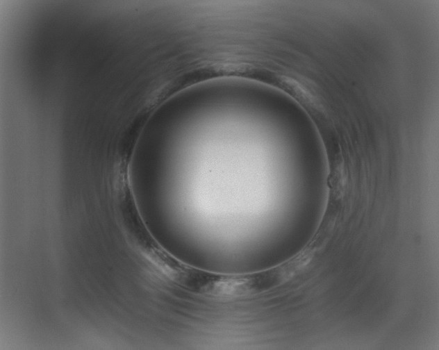 X0000075360172200609081225