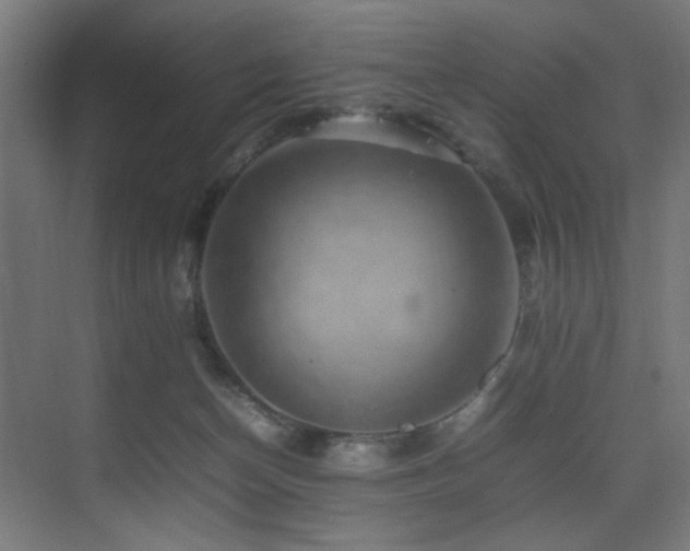 X0000075360174200609081225