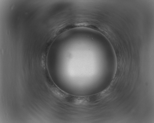 X0000075360175200609081225