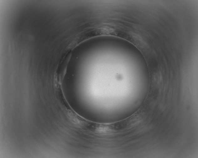 X0000075360177200609081225