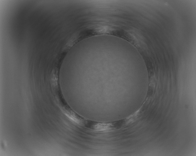 X0000075360179200609081225