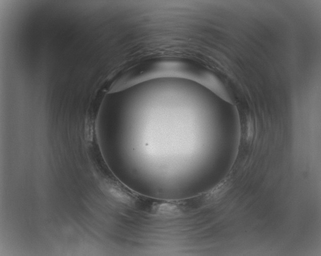 X0000075360180200609081225