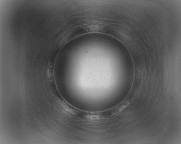 X0000075360181200609081225