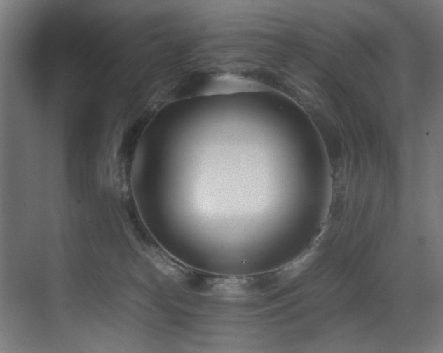 X0000075360182200609081225