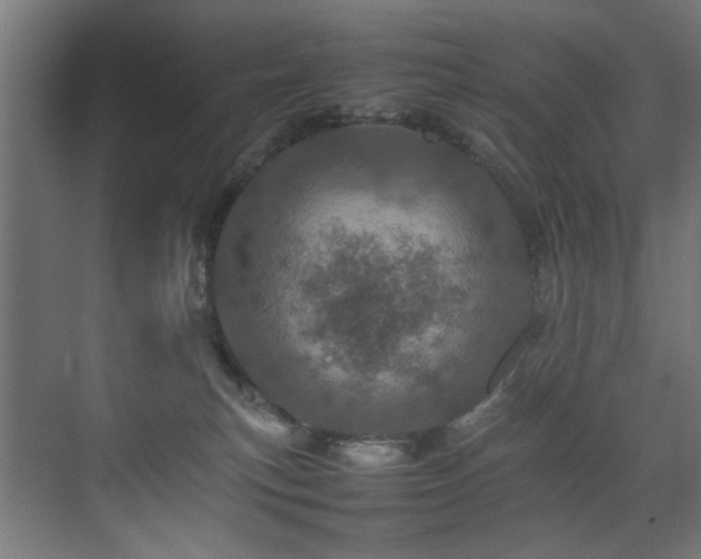 X0000075360183200609081225