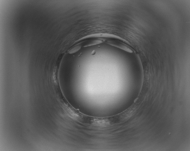 X0000075360185200609081225