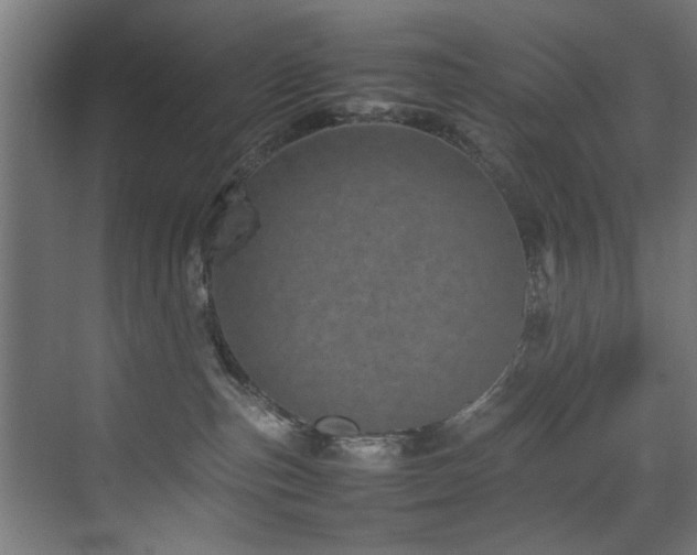 X0000075360187200609081225