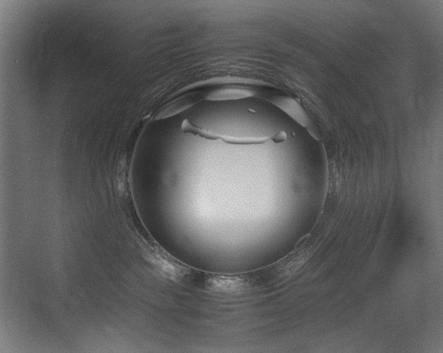 X0000075360189200609081225