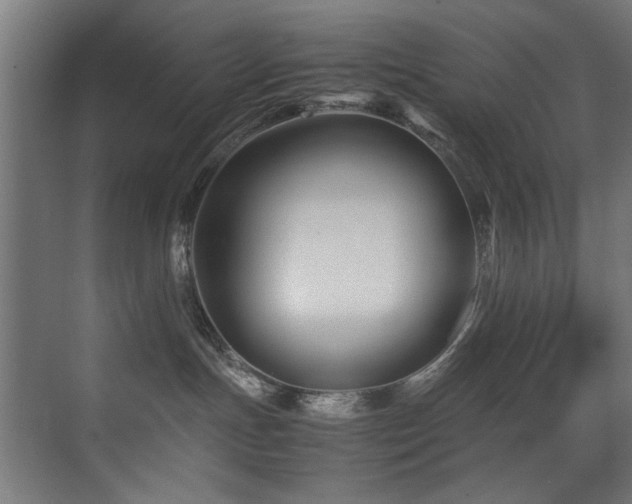 X0000075360191200609081225