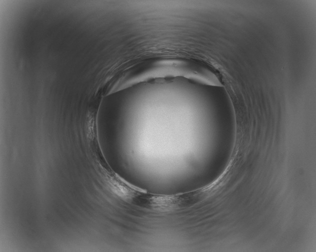 X0000075360192200609081225