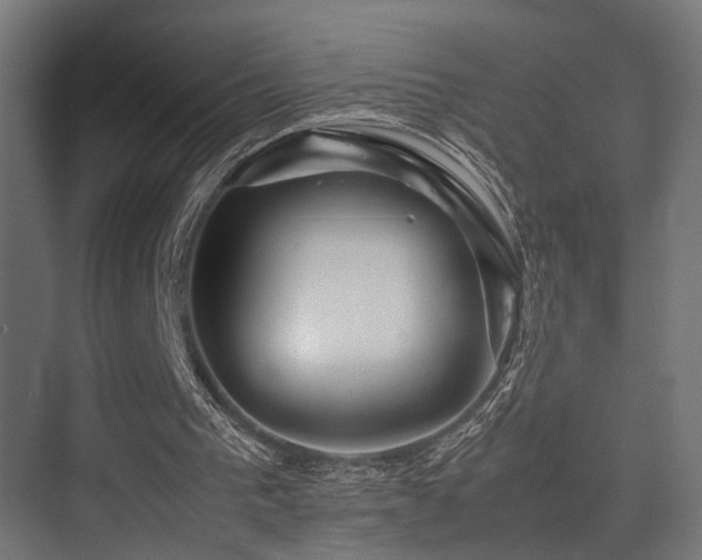 X0000075360193200609081224