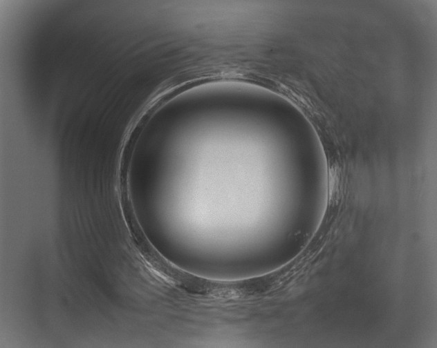 X0000075360195200609081224