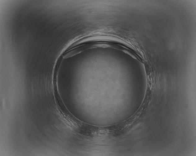 X0000075360196200609081224