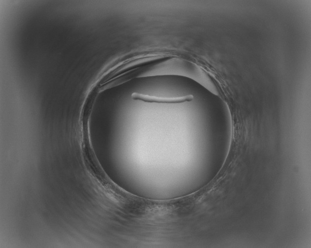 X0000075360198200609081224