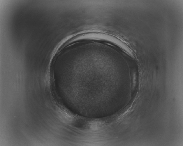 X0000075360200200609081224