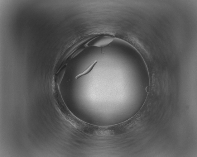 X0000075360202200609081224