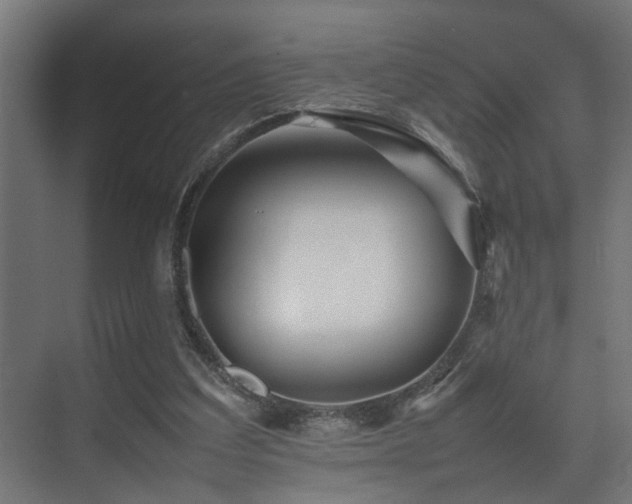 X0000075360203200609081224