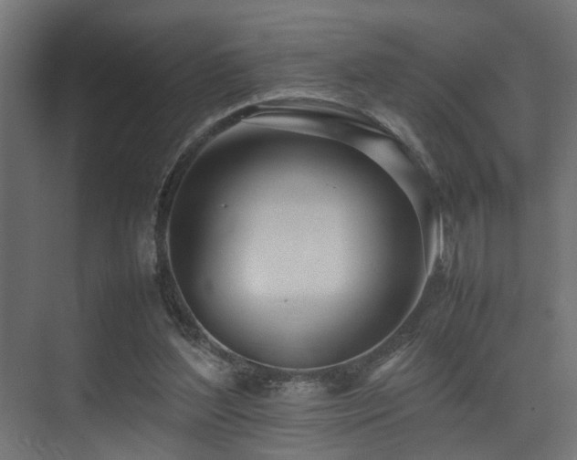 X0000075360204200609081224