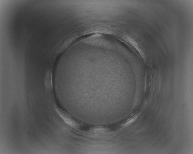 X0000075360205200609081224