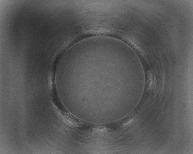 X0000075360206200609081224