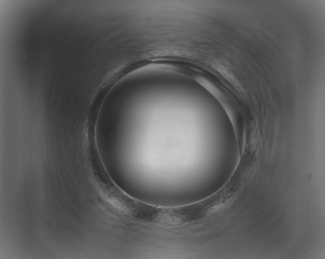 X0000075360207200609081224