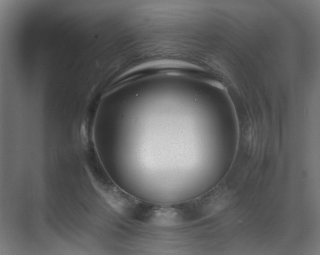 X0000075360214200609081224