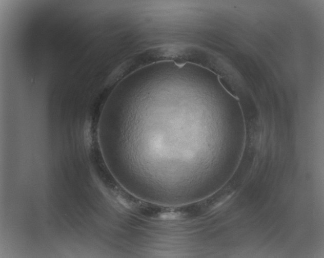 X0000075360216200609081224