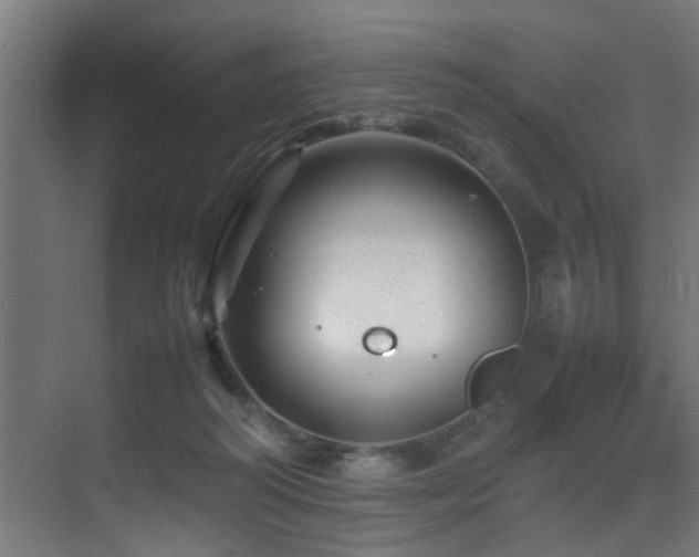 X0000075360218200609081224