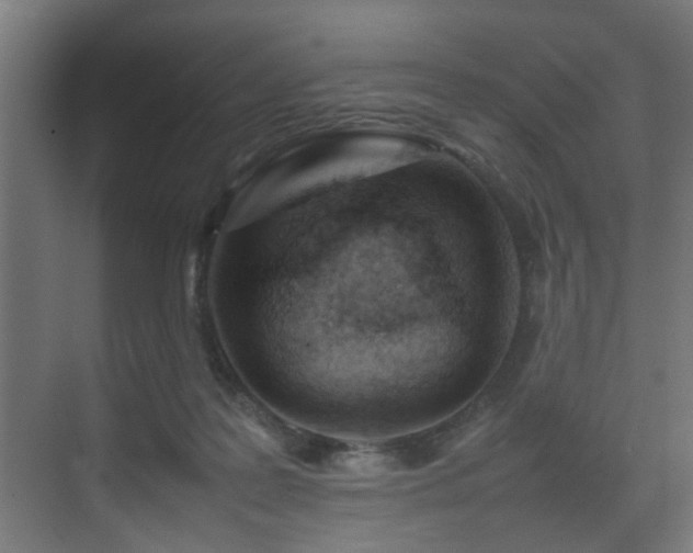 X0000075360219200609081224