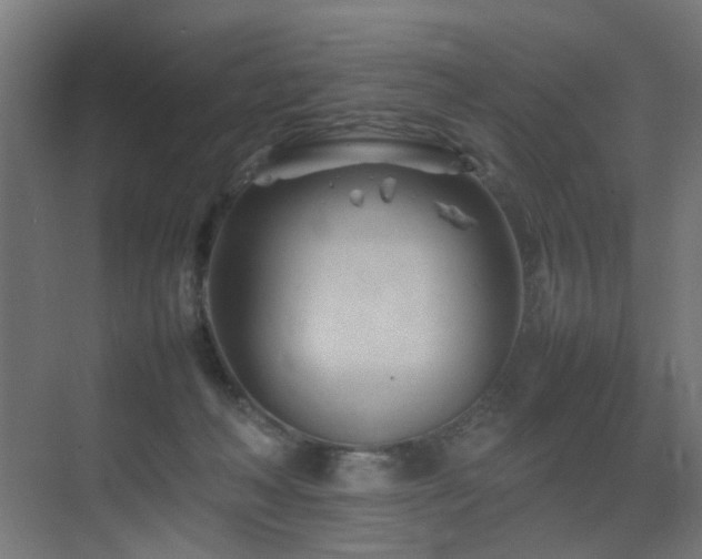 X0000075360222200609081224