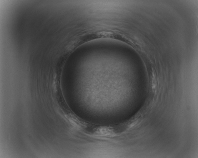 X0000075360223200609081224