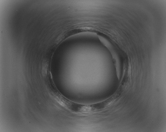 X0000075360227200609081224