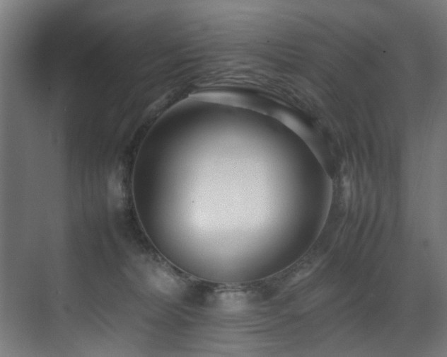 X0000075360228200609081224