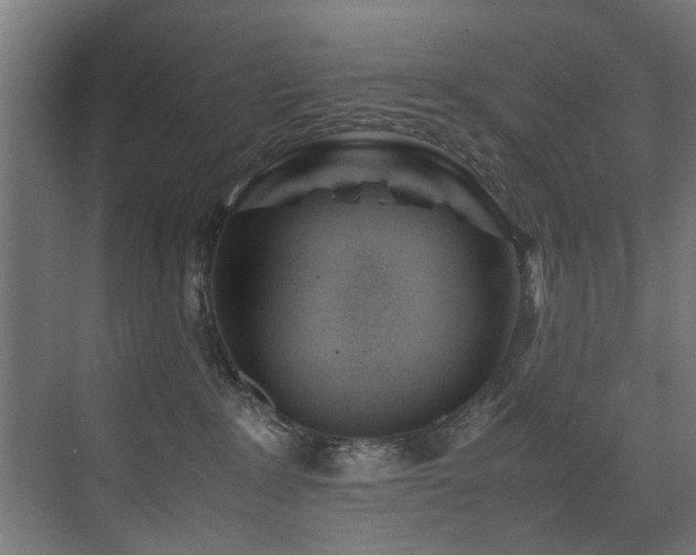 X0000075360235200609081223