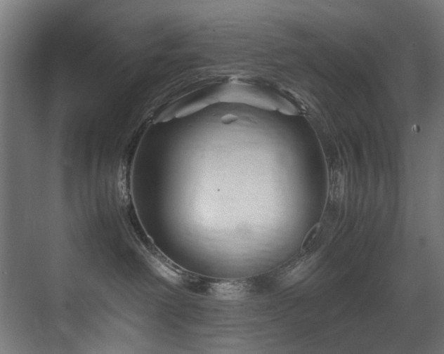 X0000075360238200609081223