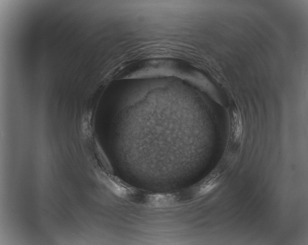 X0000075360239200609081223